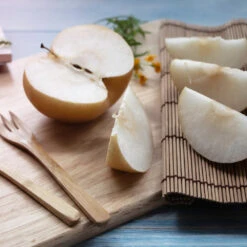 20th Century (Nijisseiki) Asian Pear -Garden Plant Store 20thCentury Pear 1 FGT