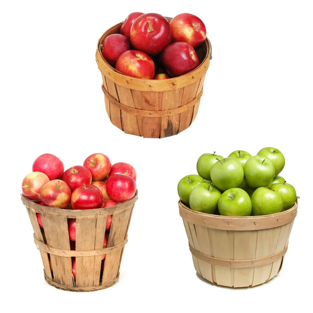 3-in-1 Apple Tree 4 3-in-1 Apple Tree - Image 2