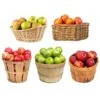 5-in-1 Apple Tree 1 5-in-1 Apple Tree -Garden Plant Store 5 in 1 Apple 600x600 7aa95aa9 ebc1 4f49 a1e8 94e9b1d7155c