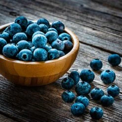 Aurora Blueberry Bush - USDA Organic 13 Aurora Blueberry Bush - USDA Organic -Garden Plant Store Aurora Blueberry 4 dc5a7e17 d7e4 4799 b1b9 177f422f6847