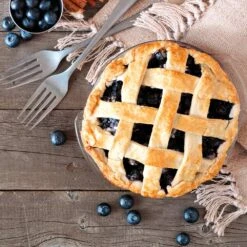 Aurora Blueberry Bush 13 Aurora Blueberry Bush -Garden Plant Store Aurora Blueberry 5