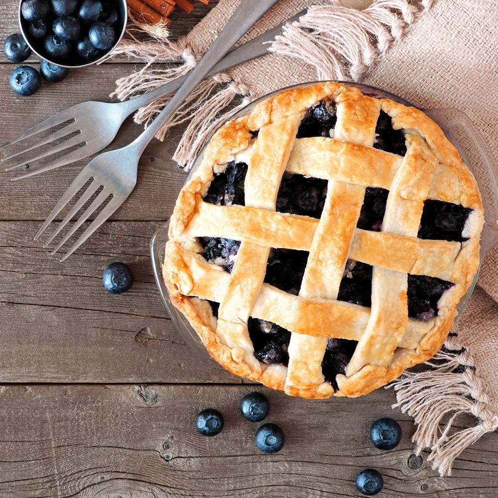 Aurora Blueberry Bush 8 Aurora Blueberry Bush - Image 6