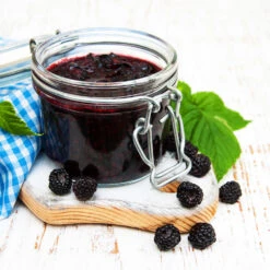 Big Daddy Blackberry Bush 9 Big Daddy Blackberry Bush -Garden Plant Store Big Daddy Blackberry 3