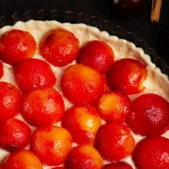 Bubblegum 'Toka' Plum Tree -Garden Plant Store Bubblegum Toka Plum 3