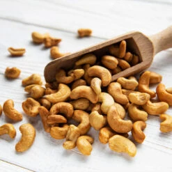 Cashew Tree 12 Cashew Tree -Garden Plant Store Cashew Nut Tree 5