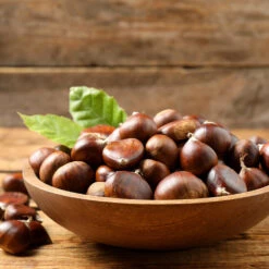 Chinese Chestnut Tree 11 Chinese Chestnut Tree -Garden Plant Store Chinese Chestnut 3 FGT