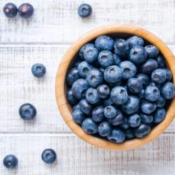 Climax Blueberry - USDA Organic 13 Climax Blueberry - USDA Organic -Garden Plant Store Climax Blueberry 4 6dff9fe5 d11c 4867 ac6f bf49cd37acb5