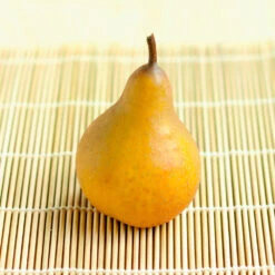 Comice Pear Tree 10 Comice Pear Tree -Garden Plant Store Comice Pear 2 FGT bed8e3b3 6b31 43c6 9eb7 82aa992926bb