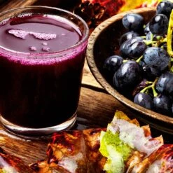 Concord Grape 11 Concord Grape -Garden Plant Store Concord Grape 8