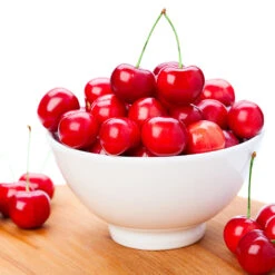 Coral Champagne Cherry Tree 8 Coral Champagne Cherry Tree -Garden Plant Store Coral Champagne Cherry Tree 4 FGT