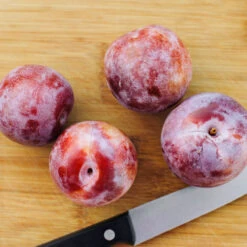 Dapple Dandy Pluot Tree -Garden Plant Store Dapple Dandy 2