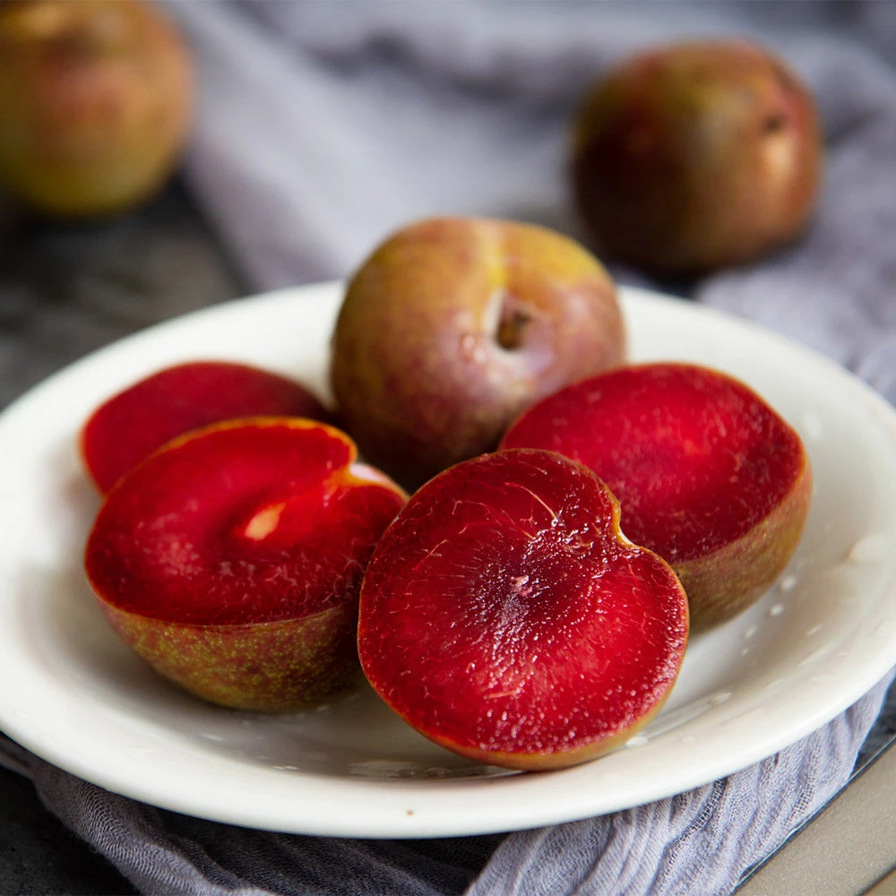 Elephant Heart Plum Tree 5 Elephant Heart Plum Tree - Image 3