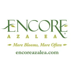 Autumn Belle® Encore® Azalea Shrub 13 Autumn Belle® Encore® Azalea Shrub -Garden Plant Store Encore Logo 1000x1000 f5ab977c d52a 42c7 bcc7 eb2c9ea0b488
