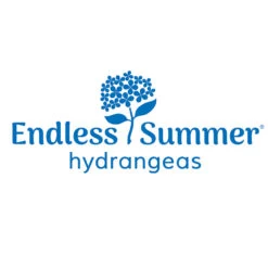 Endless Summer® Summer Crush® Hydrangea 15 Endless Summer® Summer Crush® Hydrangea -Garden Plant Store Endless Summer Hydrangeas 1000x1000 347a4889 45a5 42f4 94f1 e0220955e380