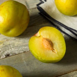 Flavor Queen Pluot® 9 Flavor Queen Pluot® -Garden Plant Store Flavor Queen Pluot 2