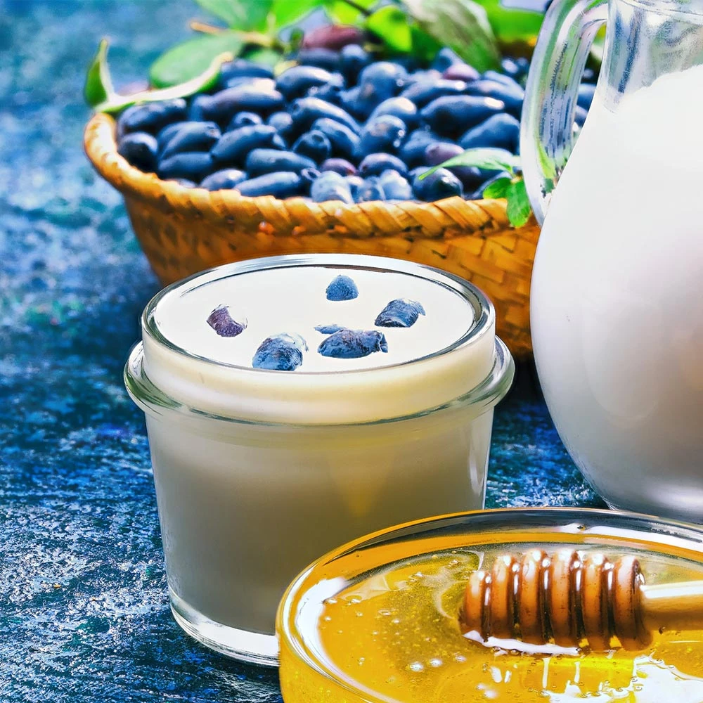 Indigo Gem Haskap (Honeyberry) 6 Indigo Gem Haskap (Honeyberry) - Image 4