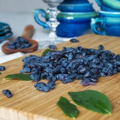 Indigo Treat Haskap (Honeyberry) 8 Indigo Treat Haskap (Honeyberry) -Garden Plant Store Indigo Treat Hascap 2 BB