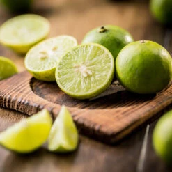 Key Lime Tree 13 Key Lime Tree -Garden Plant Store Key Lime Tree 5 FGT