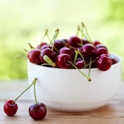 Lapins Cherry Tree -Garden Plant Store Lapins Cherry Tree 2 FGT 325a18e6 7143 4729 a41b b0d9614909b8