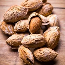 Nonpareil Almond Tree -Garden Plant Store Nonpareil Almonds 3