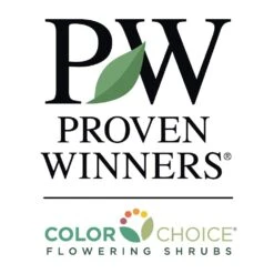 Bobo® Hydrangea Shrub 13 Bobo® Hydrangea Shrub -Garden Plant Store PW Logo CC 1000x1000 55dac6d7 bd17 4a95 bca3 c243520b7d2c