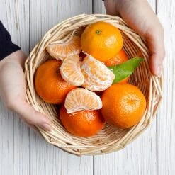 Page Mandarin Tree 9 Page Mandarin Tree -Garden Plant Store Page Mandarin Tree 2 FGT