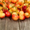 Rainier Cherry Tree 2 Rainier Cherry Tree -Garden Plant Store Rainier Cherry Tree FGT 600x600 1094475e 5dab 4191 8167 5c5a6519bb91