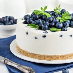 Sunshine Blue Blueberry Bush 9 Sunshine Blue Blueberry Bush -Garden Plant Store SUnshine BLue Blueberry 4