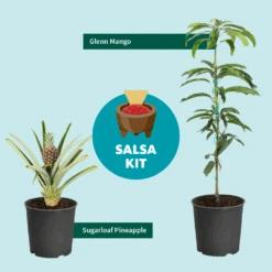 Salsa Kit -Garden Plant Store SalsaKitGraphic