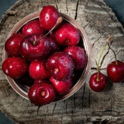 Santina™ Cherry Tree 8 Santina™ Cherry Tree -Garden Plant Store Santina Cherry 1