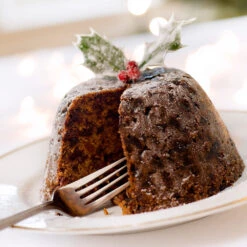 Satsuma Plum Tree 13 Satsuma Plum Tree -Garden Plant Store Satsuma Plum 4