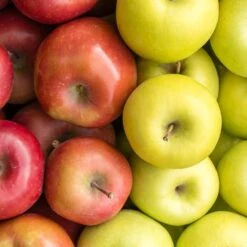 5-in-1 Apple Surprise Tree -Garden Plant Store Surprise Apple 1