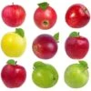 4-in-1 Apple Surprise Tree 1 4-in-1 Apple Surprise Tree -Garden Plant Store Surprise Apple 600x600 4bdad622 6811 402f 8fd2 6261c6bd6550