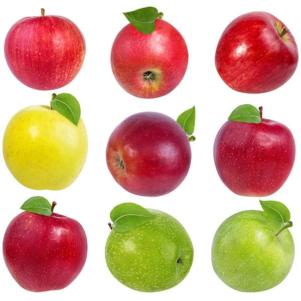3-in-1 Apple Surprise Tree 3 3-in-1 Apple Surprise Tree