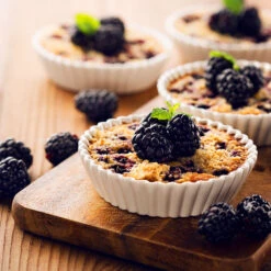 Thornless Blackberry -Garden Plant Store Thornless Blackberry 2