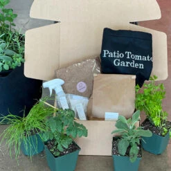 Patio Tomato Garden -Garden Plant Store Tomato Garden kit 2