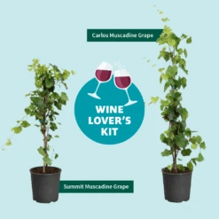 Wine Lover's Kit -Garden Plant Store WineLoversKitGraphic 2